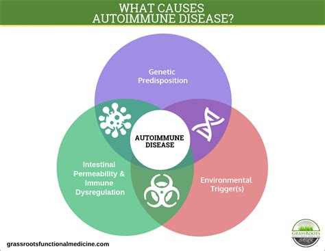 Understanding the Three Factors of Aut